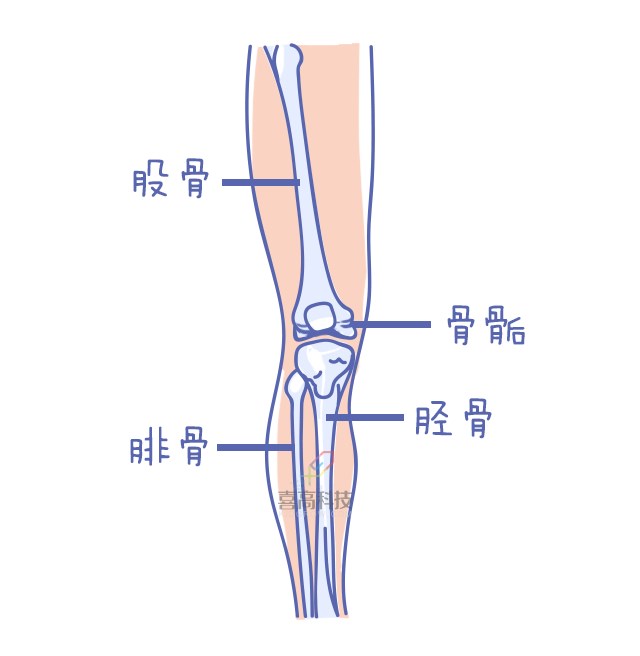 重啟骨骺線~你看起來很誘人！_10.png